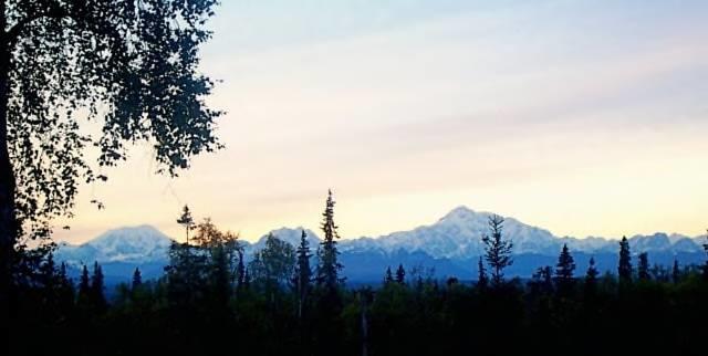 Grace And Bill'S Freedom Hills B&B Talkeetna Eksteriør billede
