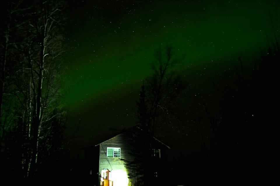 Grace And Bill'S Freedom Hills B&B Talkeetna Eksteriør billede