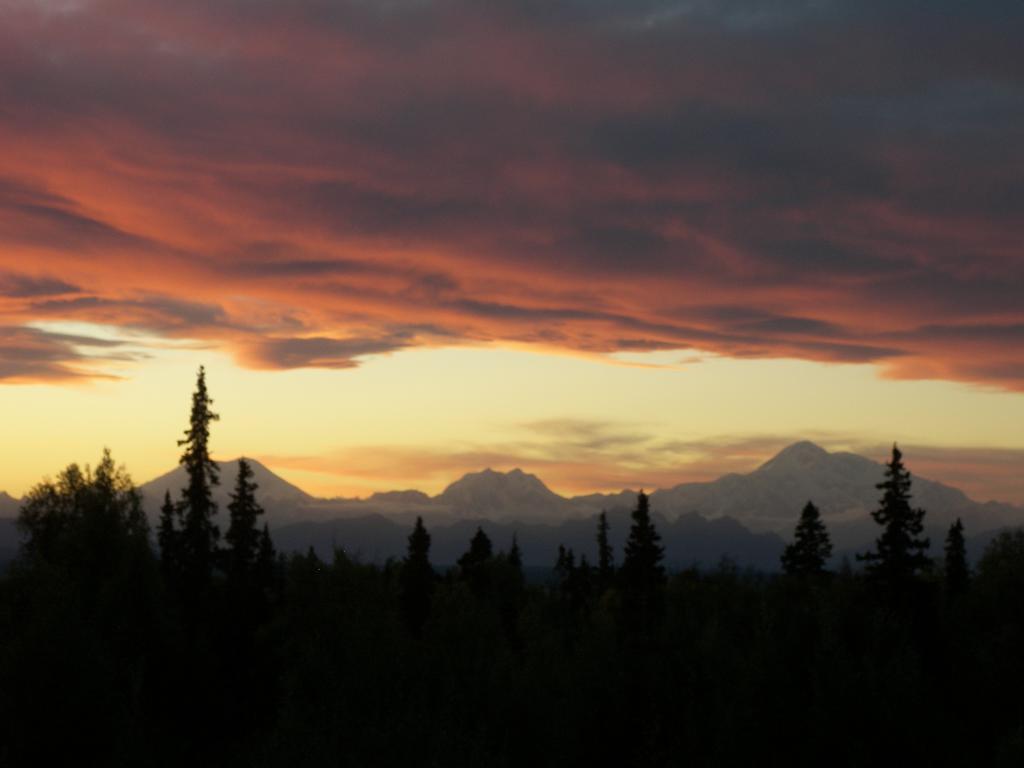 Grace And Bill'S Freedom Hills B&B Talkeetna Eksteriør billede