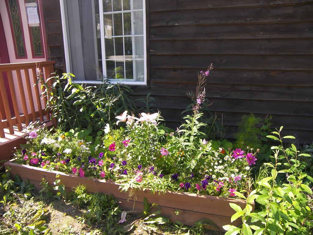 Grace And Bill'S Freedom Hills B&B Talkeetna Eksteriør billede
