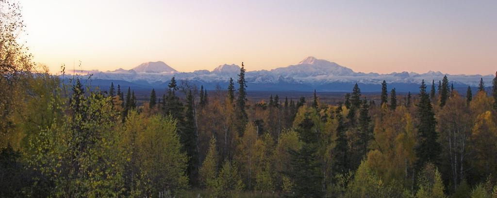 Grace And Bill'S Freedom Hills B&B Talkeetna Eksteriør billede